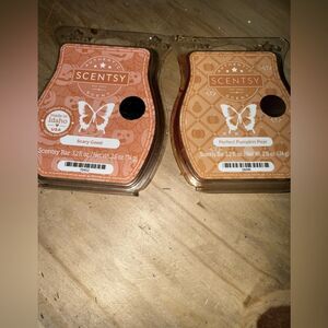 Scentsy Scary Good and Perfect Pumpkin Pear Wax Bars
